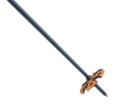 LEKI Patrol S Skistöcke Blau 9 LEKI Patrol S Skistöcke Blau -Skiausrüstung Angebote 100001 de dp803