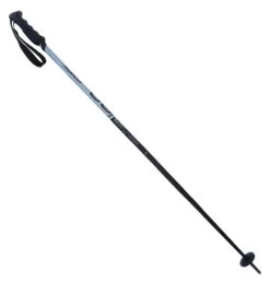 KOMPERDELL Alpine Powder Skistock Scwarz