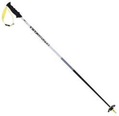 VÖLKL Völkl Phantastick Carbon Skistöcke