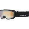 Alpina Scarabeo Jr. Q-Lite Skibrille Schwarz -Skiausrüstung Angebote 3455819