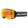 Alpina Naator Q-Lite Skibrille Schwarz -Skiausrüstung Angebote alpina naator q lite skibrille a7269831
