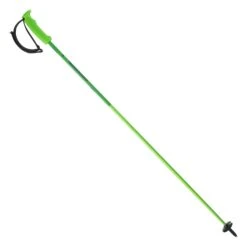 Elan LiteRod Green Skistöcke