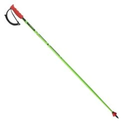 Elan RaceRod SLX Skistöcke