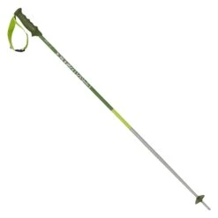 VÖLKL Völkl Phantastick 2 Green Skistöcke